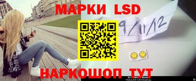 стаф Нальчик