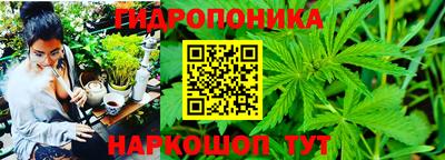 стаф Нальчик