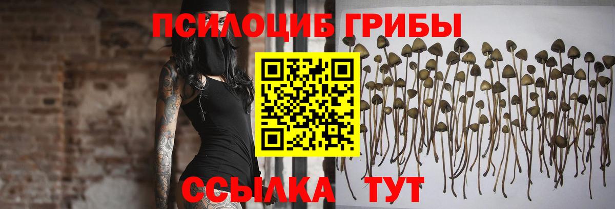 Галлюциногенные грибы MAGIC MUSHROOMS  Вход с VPN  Ангарск 