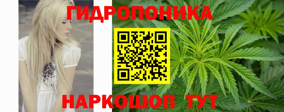 Конопля планчик  Вход с VPN  Конопля ГИДРОПОН  Ангарск  МАРИХУАНА Amnesia 